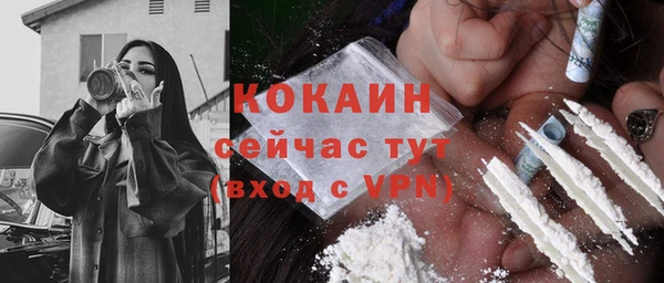 соль ск Надым